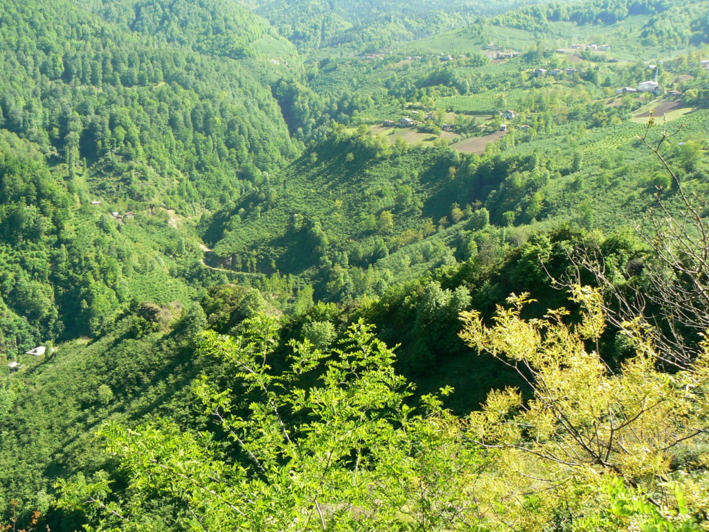 Duzce-Guzeldere Valley